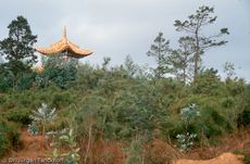 China (204 von 257).jpg